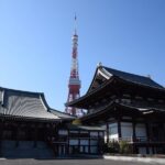 Shared Arrival Transfer : Narita International Airport to Hotel (Central Tokyo) - Who Will Love This Service?