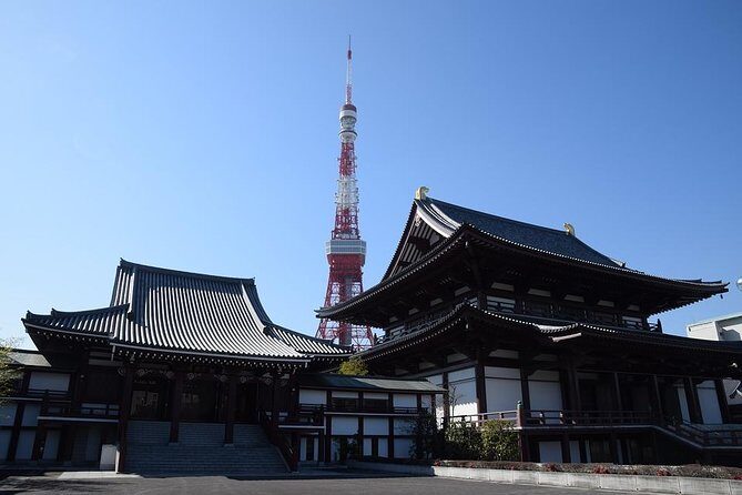 Shared Arrival Transfer : Narita International Airport to Hotel (Central Tokyo) - Who Will Love This Service?
