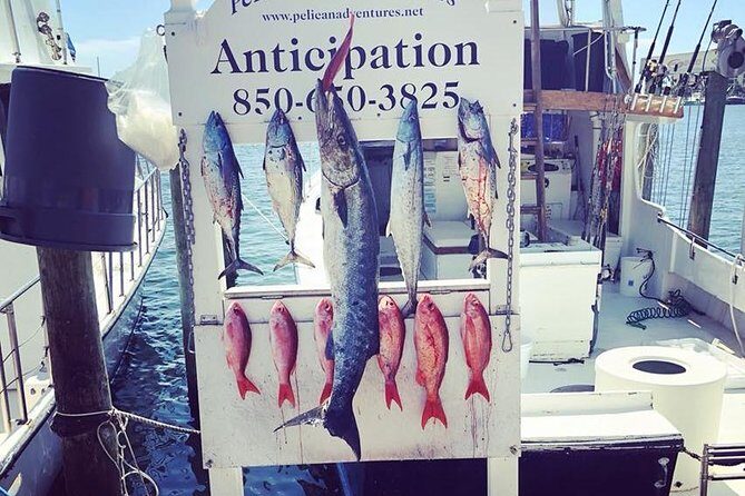 Shared Deep Sea Fishing Trip from Destin - Who Is This Tour Best For?
