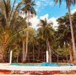 Shared Honda Bay Island Hopping Tour - FAQs