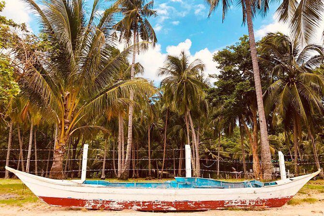 Shared Honda Bay Island Hopping Tour - FAQs
