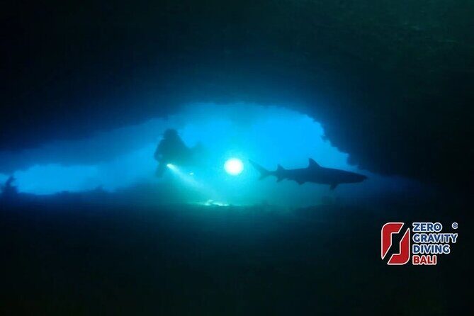 Shark Cave diving at Tangked Taked and Biaha Shark Caves - Itinerary Breakdown