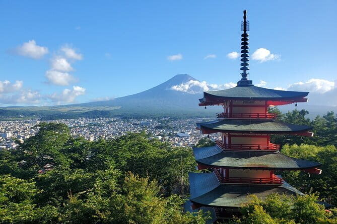Shimizu Port to Mt. Fuji Guided Private Tour GREEN NUMBER PLATES - Who Is This Tour Best For?