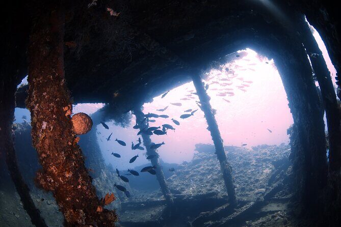 Shipwreck Diving in Tulamben - The Sum Up: Is It Worth It?