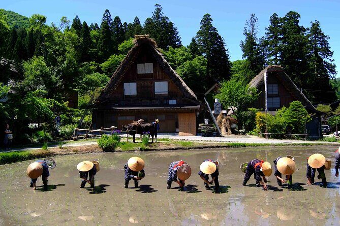 Shirakawa-go from Takayama/Nagoya One day Bus ticket - Why the Value is Worth Noticing