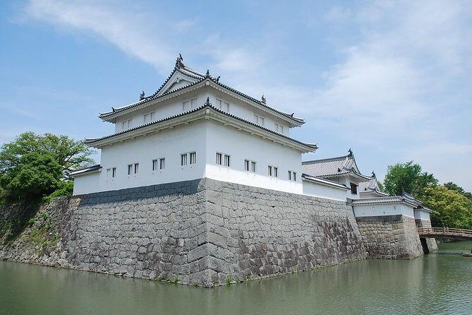 Shizuoka/Shimizu Mt Fuji View 6 hr Private Tour: Guide Only - Who Is This Tour Best For?