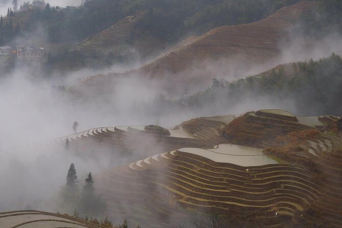 Short Li-River cruise and Longji Rice Terraces Private Day Tour - Who Is This Tour Best For?