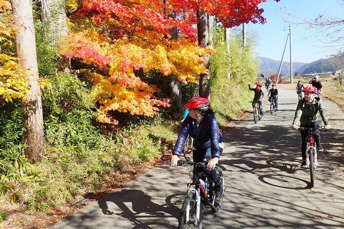 Short Morning Cycling Tour in Hida - Who Should Consider This Tour?