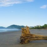 Shuttle From San Jose Airport To Jaco Beach or From Jaco Beach - An In-Depth Look at the Experience