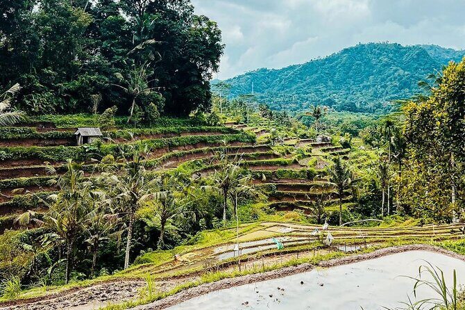 Sidemen Trekking: A Walk from Different Perspective - FAQs
