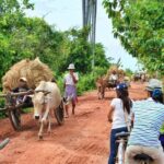 Siem Reap Countryside Jeep Tour - Why Travelers Love This Tour
