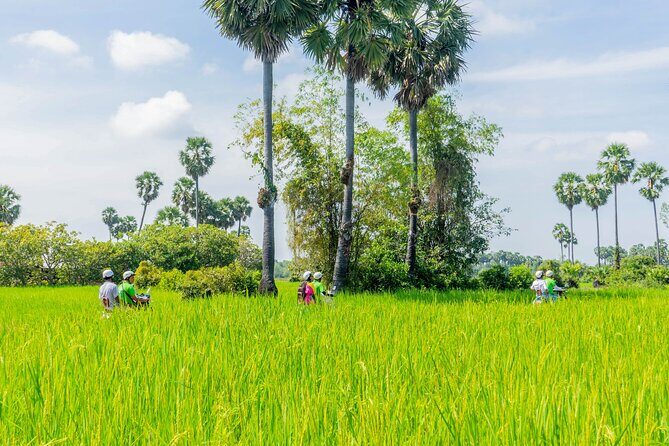 Siem Reap Countryside Tour by Vespa - The Experience: What Makes It Stand Out?