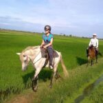 Siem Reap Happy Horse Riding - The Experience: What You Will Love