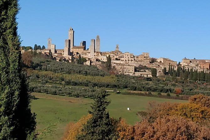 Siena Monteriggioni San Gimignano with Lunch&WineTasting Fullday from Florence - Transportation and Comfort