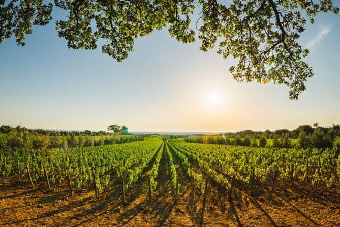 Siena & San Gimignano: Exclusive Tuscany Day Trip from Florence - Why Is This Tour a Good Choice?