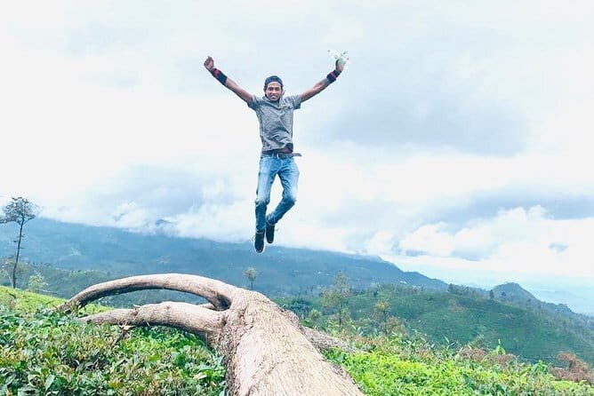 Sightseeing tour Ella & Diyaluma waterfall by car - Who Will Love This Tour?