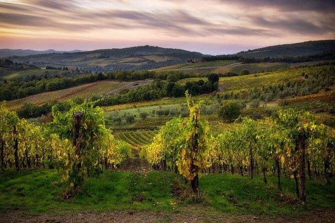 Sightseeing Tuscany by touring bike - 1 day rental - Who Should Consider This Tour?