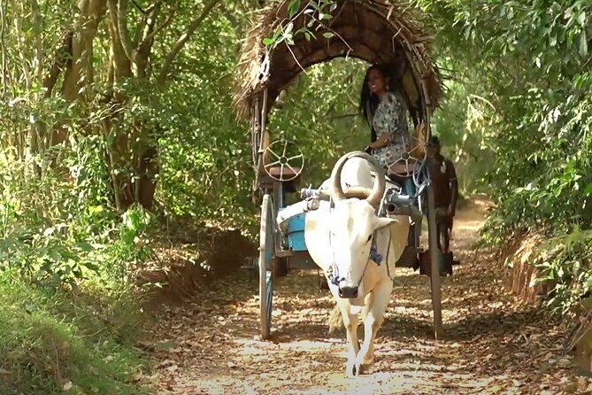 Sigiriya and Dambulla Private Day Tour by Tuk-Tuk or Car - A Deeper Look into the Itinerary