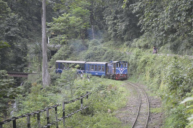 Sikkim Darjeeling - North East India 7 Nights 8 Days Tour - Analyzing the Value