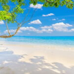 Similan Islands Full Day - Premium - What You Can Expect From the Experience