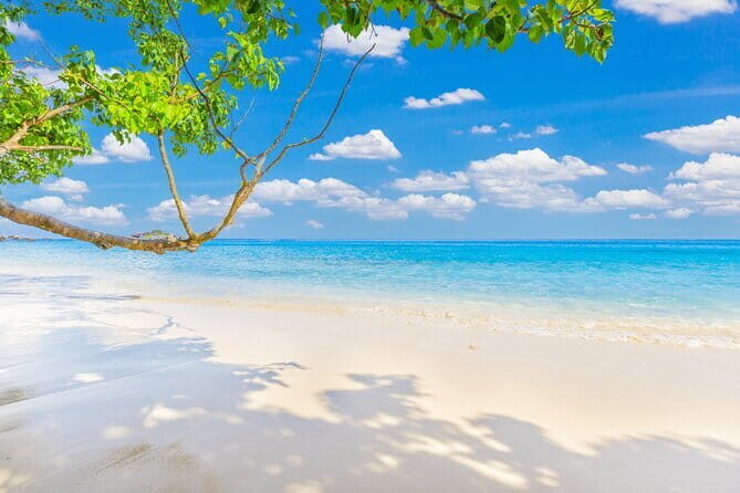 Similan Islands Full Day - Premium - What You Can Expect From the Experience