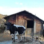 Singalila Ridge Trek from Darjeeling - 6 Days - What Makes This Trek Stand Out?