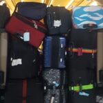 Singapore Arrival Ground Transfer in Limo-Bus - The Sum Up
