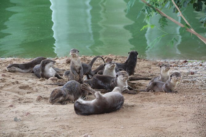 Singapore - bike adventure beyond the concrete jungle - Who Will Love This Tour?