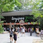 Singapore Bird Paradise & Zoo Full Day (Ticket & Transfer ) - Transportation and Timing: Why It Matters