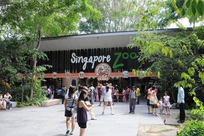 Singapore Bird Paradise & Zoo Full Day (Ticket & Transfer ) - Transportation and Timing: Why It Matters