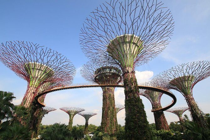 Singapore: Gardens by the Bay Admission E-Ticket - Practical Tips and Insights From Reviewers
