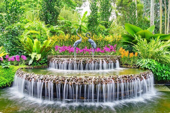 Singapore: National Orchid Garden Admission Ticket - Final Thoughts: The Orchid Garden’s Charm and Practicalities