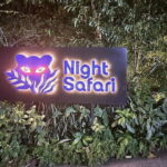 Singapore Night Safari - Key Points