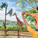 Singapore Zoo - The Sum Up
