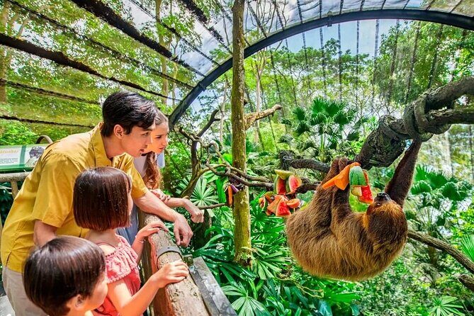 Singapore Zoo & Night Safari Day ( Tickets & Transfer ) - Transition to Night: The Night Safari Begins