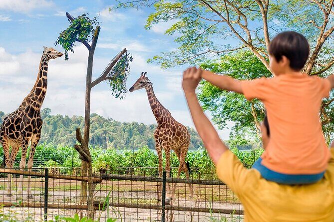 Singapore Zoo - The Sum Up