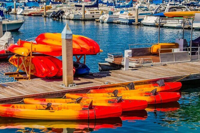 Single Kayak Rental in Mission Bay - The Bottom Line: Is It Worth It?