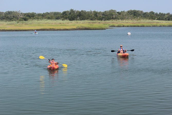 Single Kayak Rental - What to Expect During Your Paddle