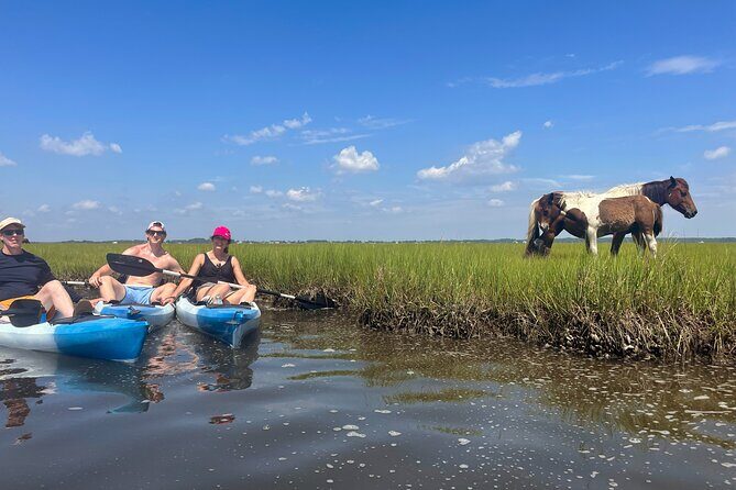 Single Sit on Top Kayak Rental at Assateague Island, MD - FAQ