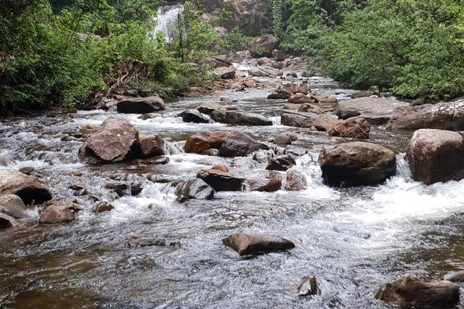 Sinharaja RainForest Private Full Day Tour - Practical Tips for Visitors