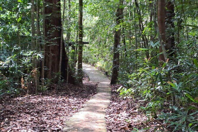 Sinharaja Rainforest Trip - Final Thoughts