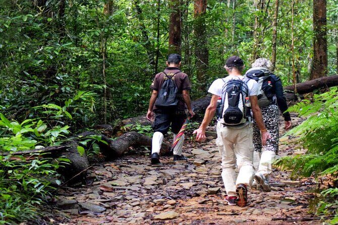 Sinharaja Trekking Day Trip - Private & All Inclusive - Key Points