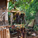 Siquijor Island Shared Tour - Practical Details: What You Need to Know