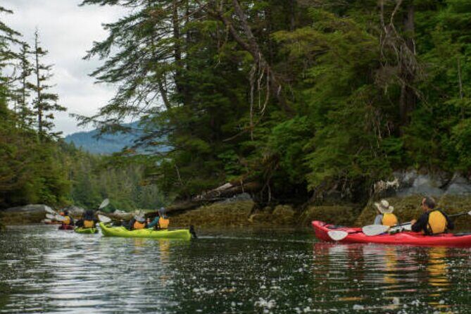 Sitka Shore Excursion: Sitka Harbor & Islands Guided Kayaking - The Practicalities: Price, Duration & Group Size