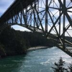 Skagit Valley Birding + Deception Pass Day Tour From Seattle - The True Value of This Tour