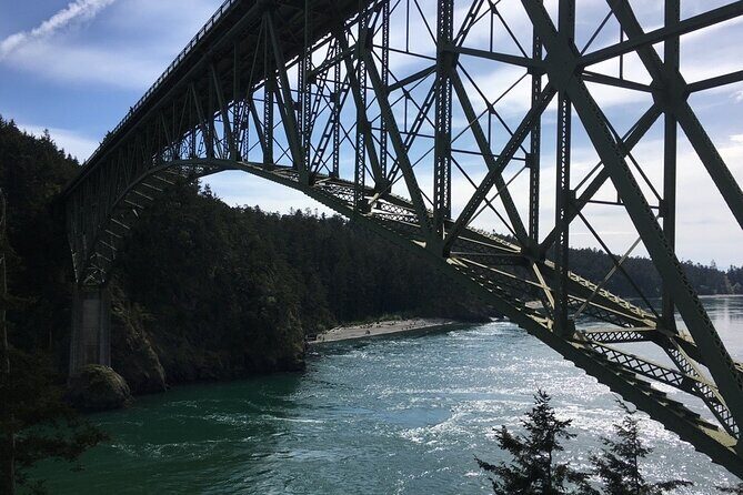 Skagit Valley Birding + Deception Pass Day Tour From Seattle - The True Value of This Tour