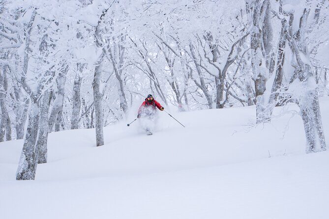 Ski or Snowboard Lesson in Shiga Kogen (4Hours) - Who Will Love This Experience?
