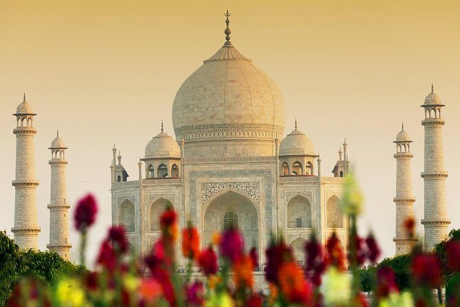 Skip The Line: Taj Mahal Tour From New Delhi With Drop At Jaipur - A Deep Dive Into the Experience