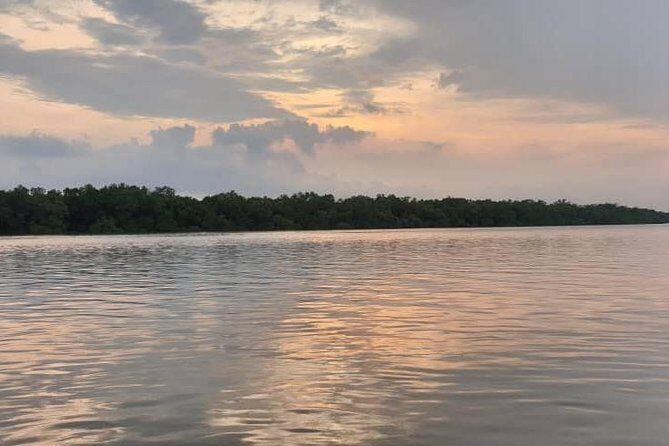 Sky Mirror Experience at Kuala Selangor from Kuala Lumpur - What Real Travelers Say