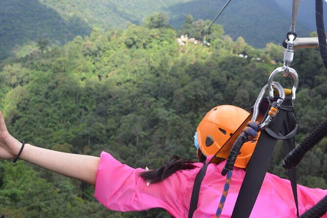 Skyline Jungle Luge - Who Should Consider This Tour?